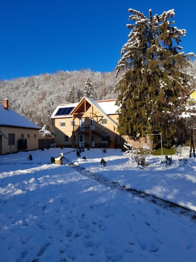 Fonagy Apartmanok Nagyvisnyó Buitenkant foto